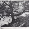 Hopetoun and Alexandra Falls, Liffey