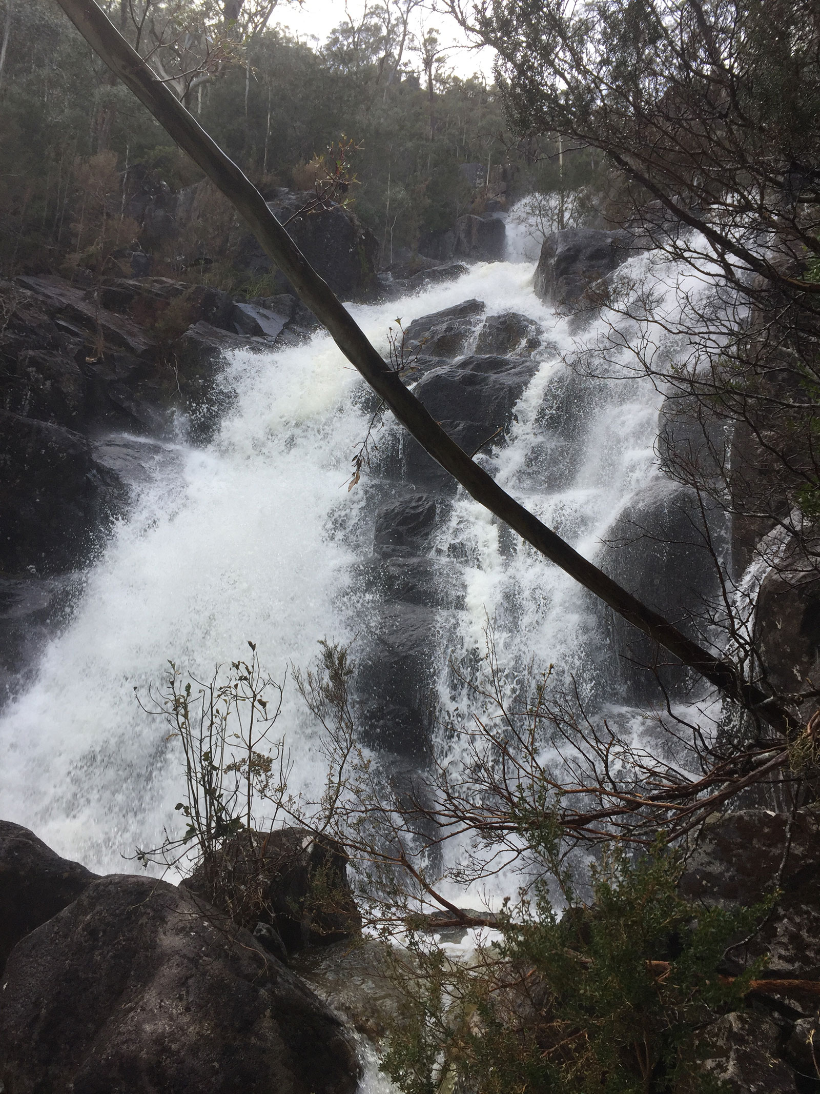 Hutchisons Falls (lower)