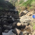Creek above the waterfall