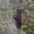The falls in a drier time