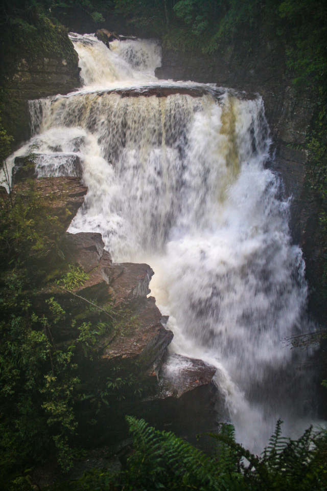 D'Alton Falls