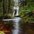 Beckett Falls - 24 November 2018