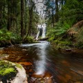 Beckett Falls - 24 November 2018