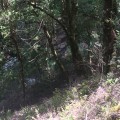 View from the top of the gorge