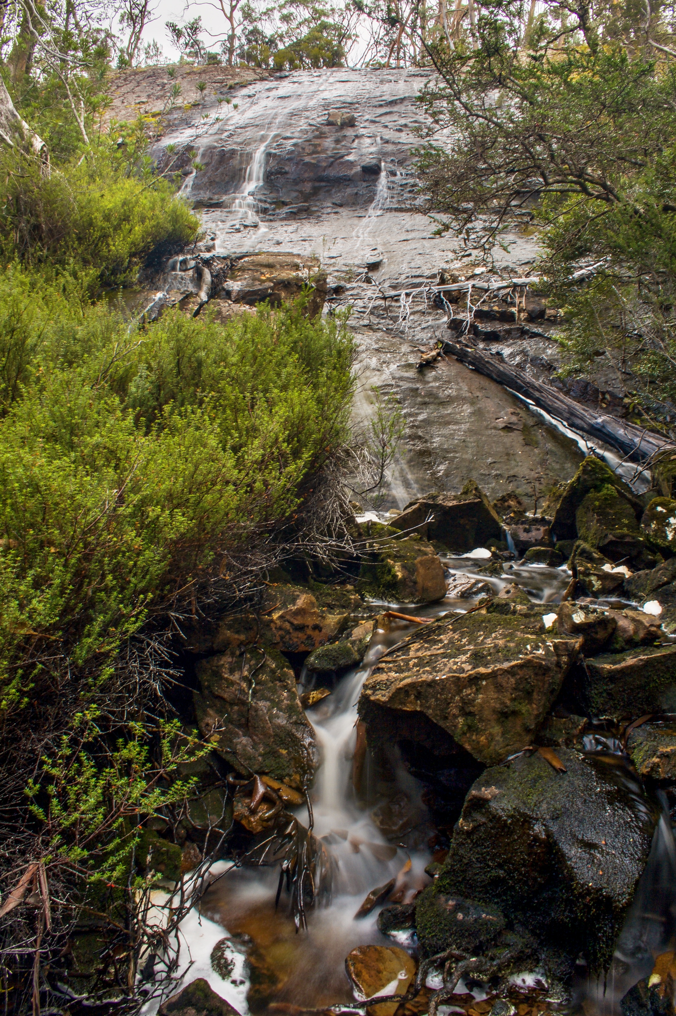 Franklin Tarn Falls