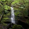 Lower tier of the falls