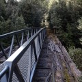 Bridges replaced!