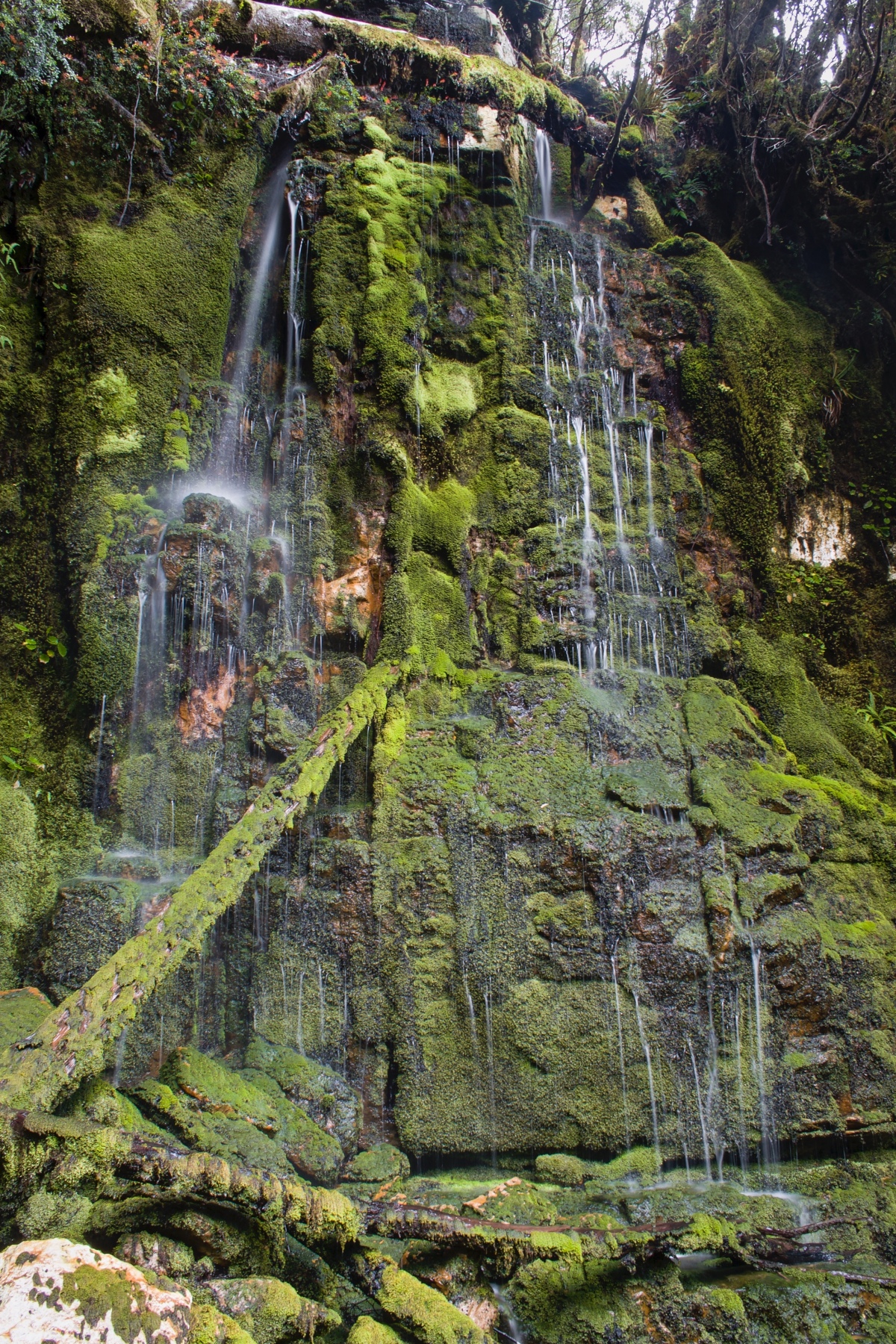 North Fork Many Falls Creek Falls