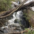 The log-choked lower section of the falls