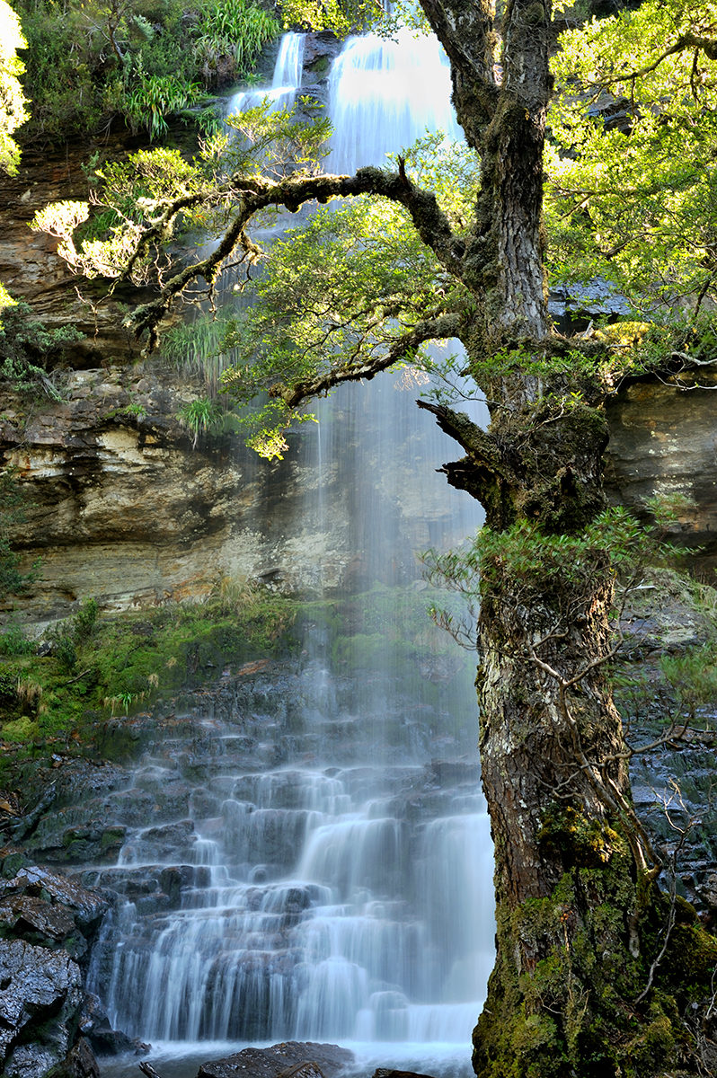 Pelion Creek Falls