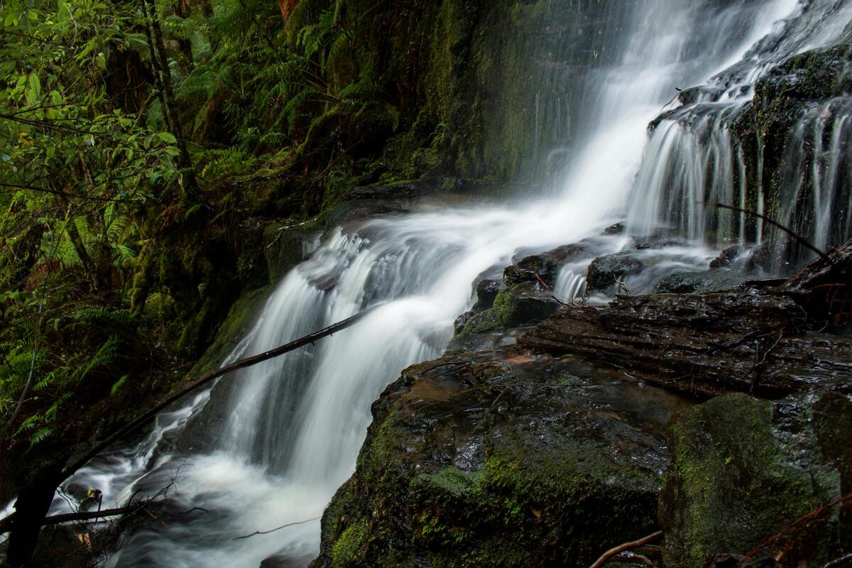 Regnans Falls