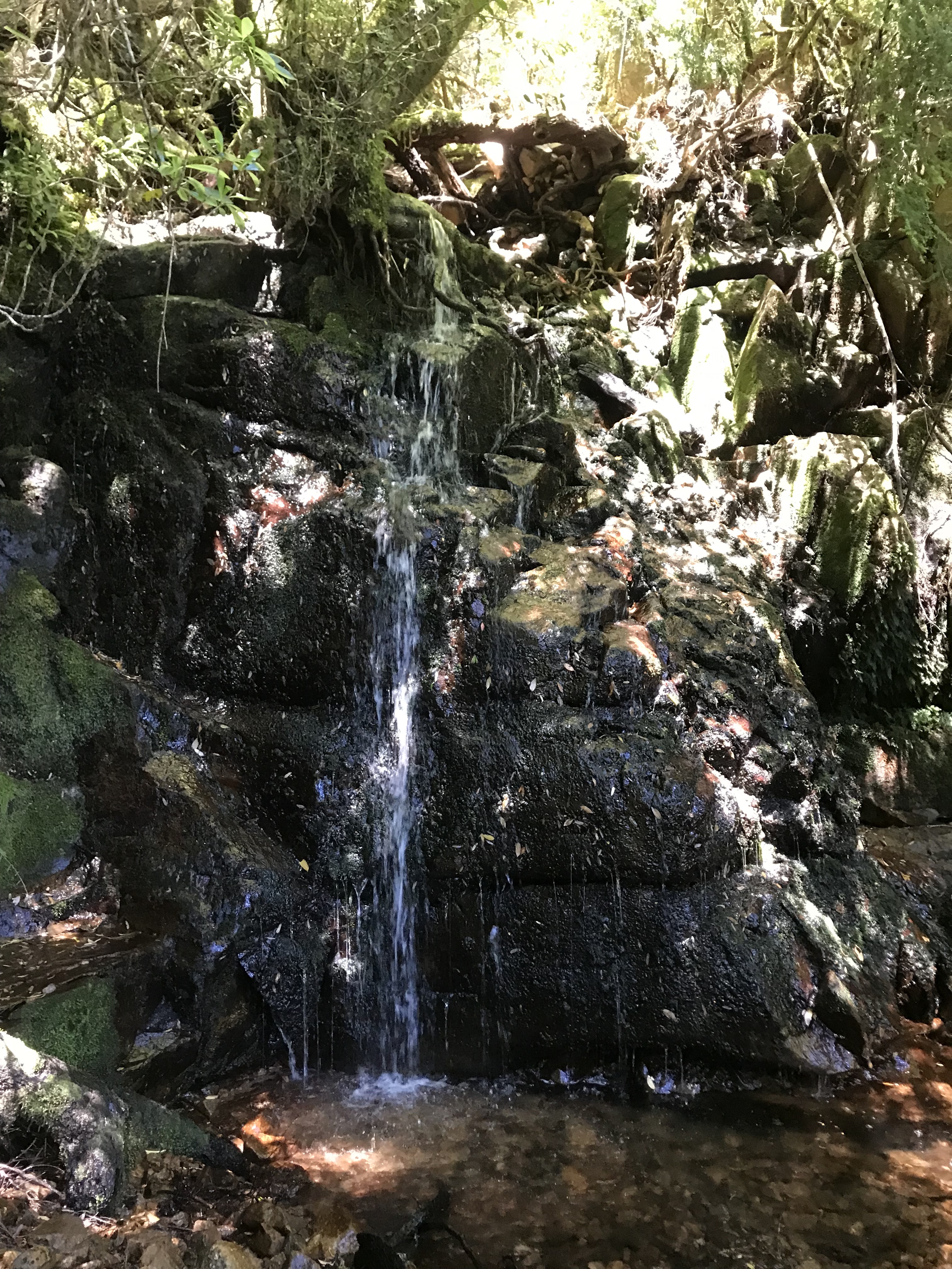 Tumbling Falls - low summer flow