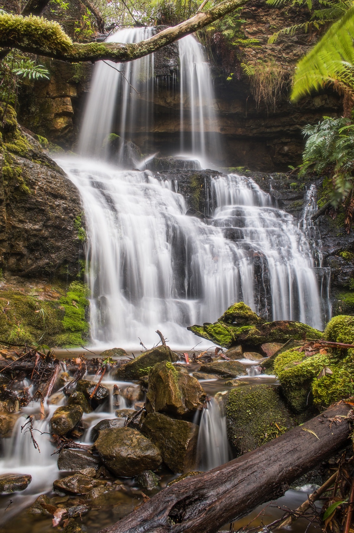 Shower Falls